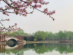 -石家庄市植物园