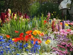 -上海共青森林公园