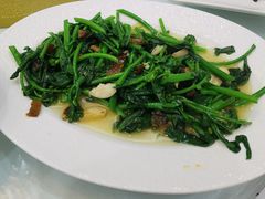 -金华安大酒楼·老牌潮菜·粤式茶点(东方国际店)