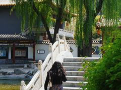 -碑林公园