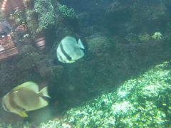 -鸿通城购物中心