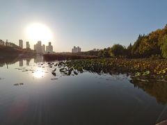 -前关湿地公园