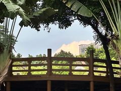 -深圳国际园林花卉博览园