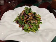 香麻野蕨菜-九十九顶毡房(阜石路店)