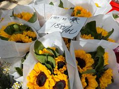 -循礼门鲜花花市(武汉循礼门店)