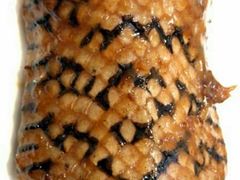 -嘉华海鲜酒家(龙津中路店)