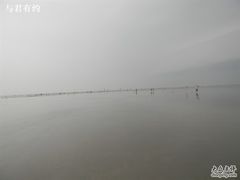 -碧海金沙