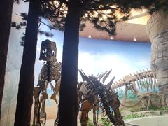 -延庆地质公园博物馆