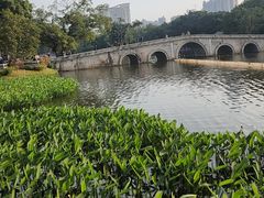 -荔湾湖公园