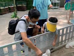 -史努比缤纷世界