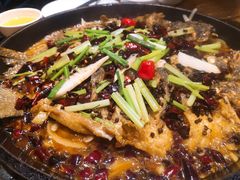 -老板恋上鱼(印象城店)