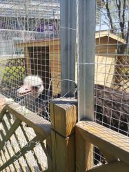 点击看大图 -萌宠亲子动物乐园(槐房万达店)