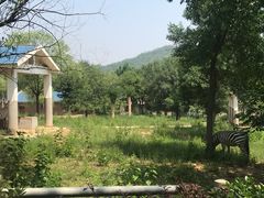 -石家庄市动物园