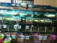 -琼大师东方烤乳猪(亚特兰蒂斯店)