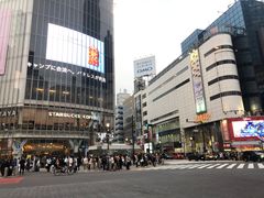-涩谷区