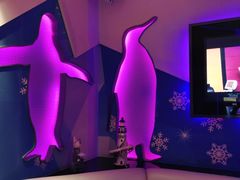 -米乐星世界KTV(汇智国际商业中心店)