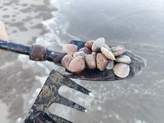 -长乐饭冰冰·冰饭·烧烤(长乐总店)