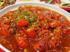 -不炭白烧烤(成都首店)