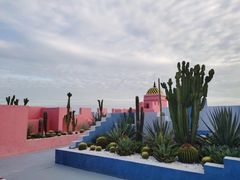 -漳州滨海火山岛自然生态风景区