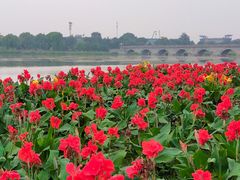 -绿堤公园
