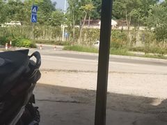 -南宁良凤江国家森林公园