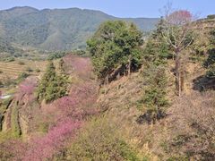 -象头山国家级自然保护区