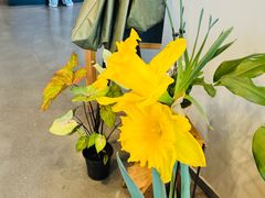 -dotcom coffee古点咖啡(致真大厦店)