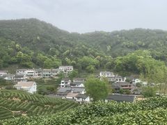 -龙井村