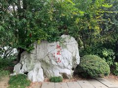 -金鸡湖桃花岛