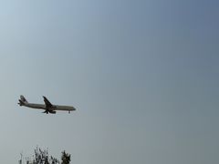 -空港花田景区