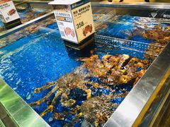 -盒马X会员店(王府井奥莱UP TOWN店)