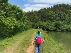 -青龙山国家森林公园