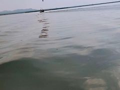-乌梁素海景区