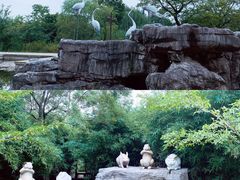 -苏州太湖国家湿地公园