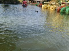 -长鹿旅游休博园