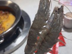 -钢管厂五区小郡肝火锅串串香(总店)