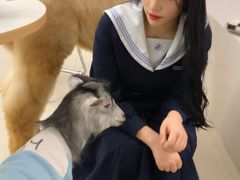 -怪兽屋·羊驼·猫咖·狗咖(俊华广场店)