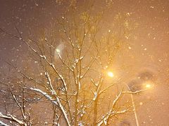 -庆丰包子铺(望京3店)