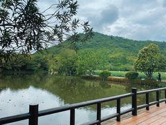 -八卦田遗址公园