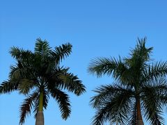 -南宁国际会展中心(会展东博文化旅游区)