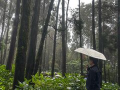 -苍山感通索道