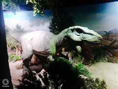 -国家自然博物馆