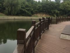 -四里河滨水生态公园