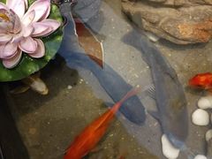 -川锅一号火锅(铜山万达店)