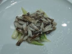 -新光酒家·河豚·海鲜·蟹料理(浦东店)