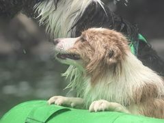 -安吉龙王山峡谷漂流