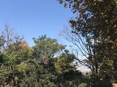 -紫金山索道-售票处