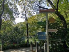 -句容茅山景区