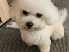 -佳雯宠物医院·皮肤科·内外科(春晓路分院)