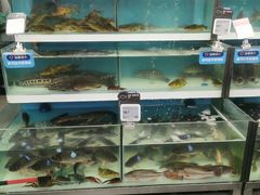 -盒马鲜生(大成店)